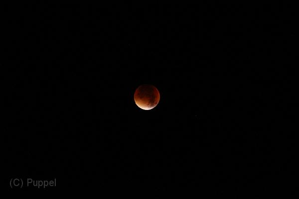 D_20150928-041416 IMG_0344.jpg